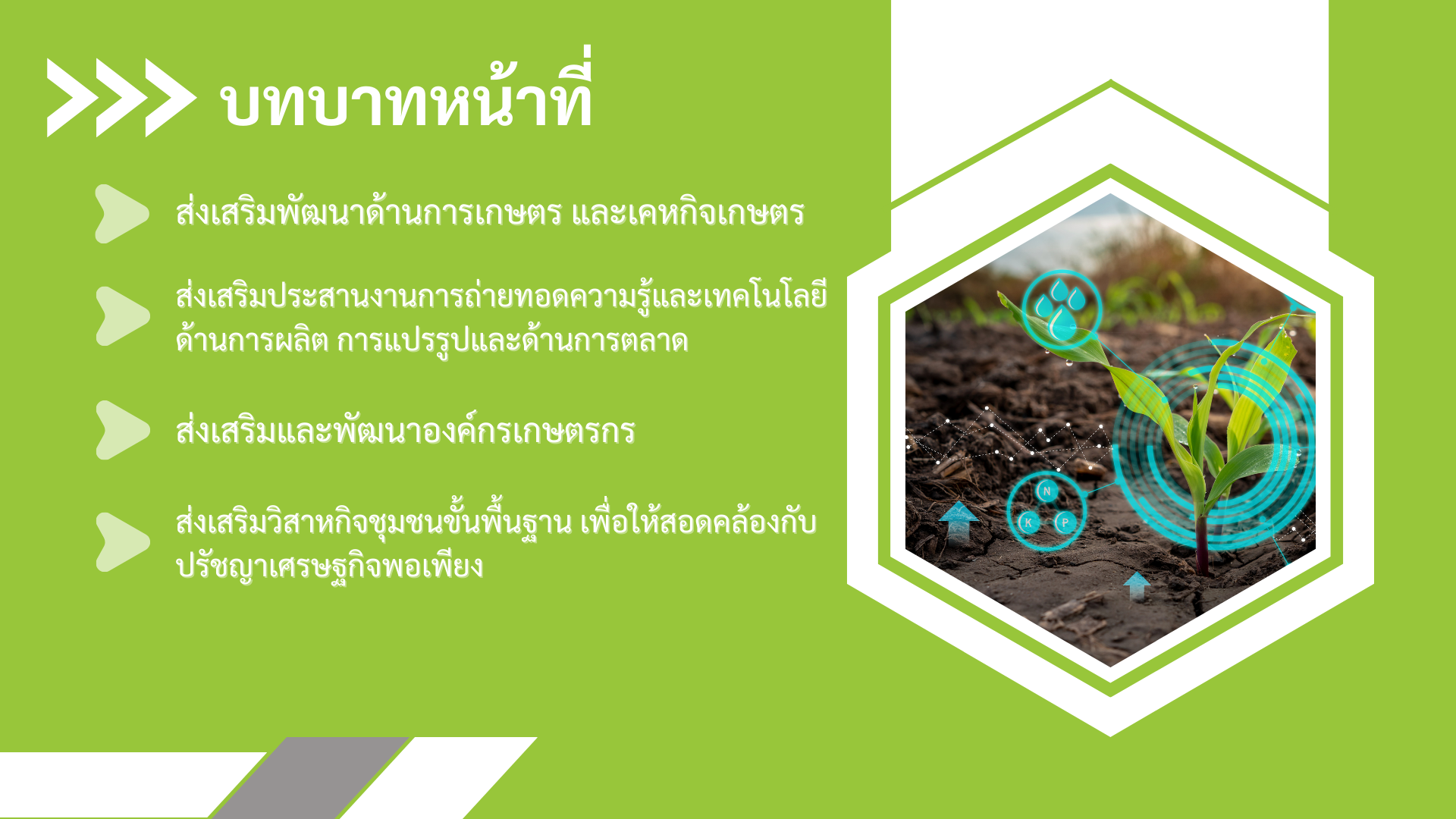 โครงสร้างสำนักงานเกษตรจังหวัดมุกดาหาร (2)