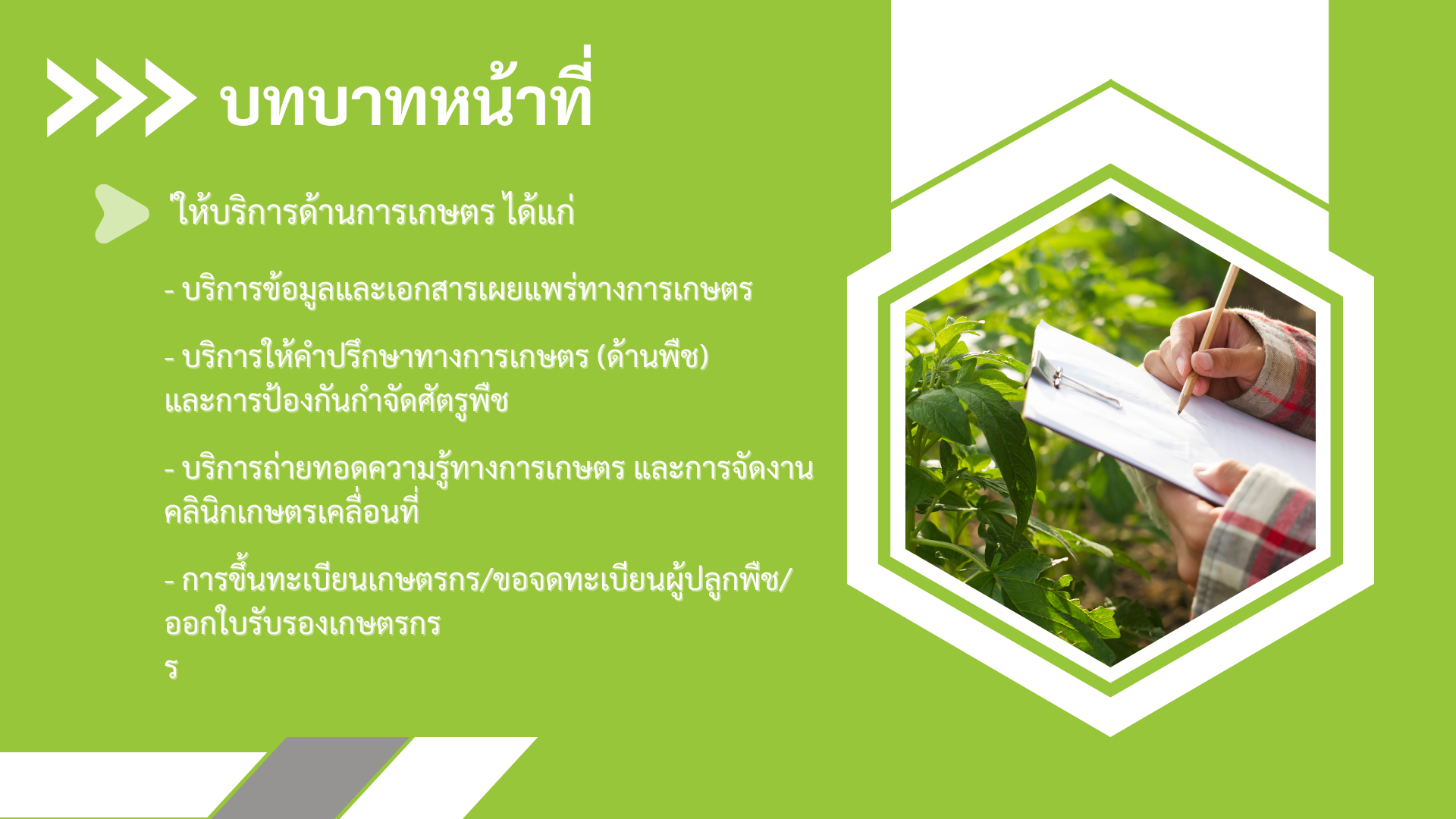 โครงสร้างสำนักงานเกษตรจังหวัดมุกดาหาร (3)