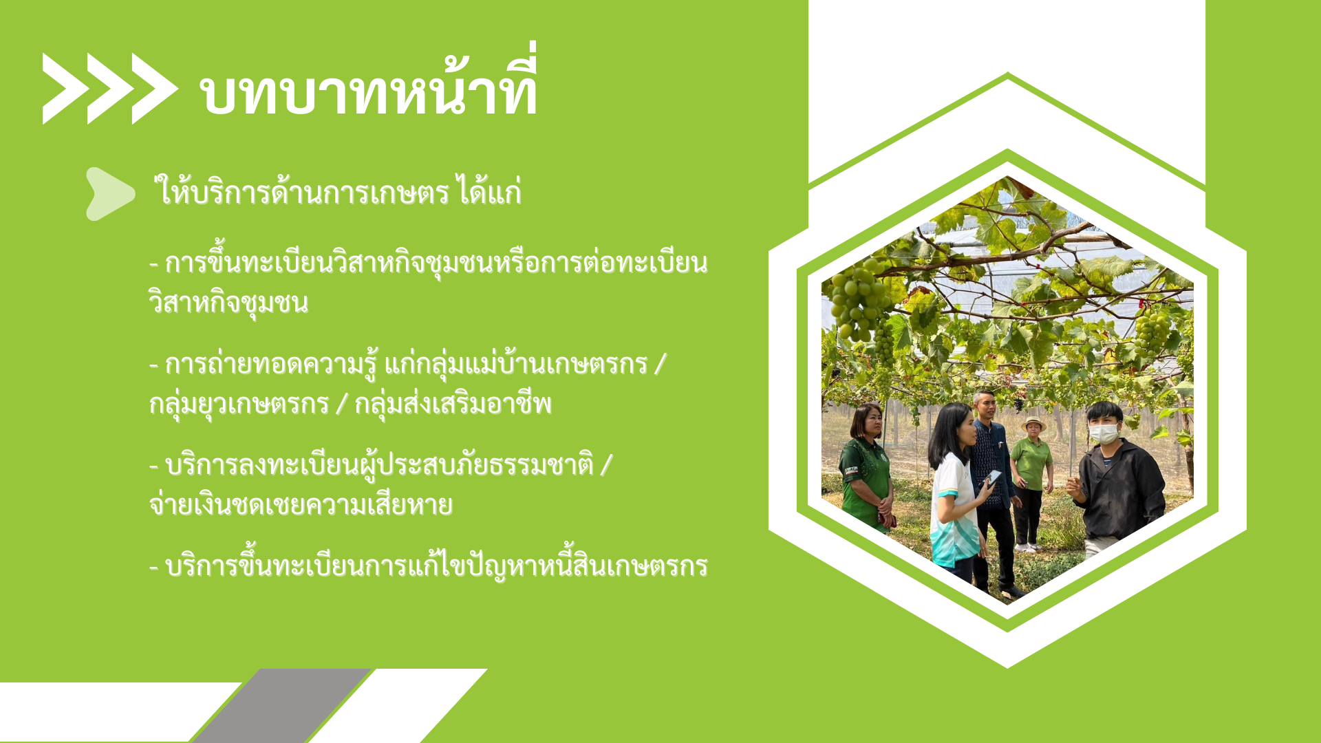 โครงสร้างสำนักงานเกษตรจังหวัดมุกดาหาร (4)