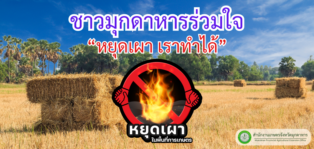 Copy of welcome new director